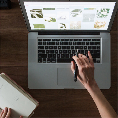 企业官网小程序设计